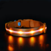 LED Pet Safety Collar - USB Rechargeable Light-Up | Fluffy Fussion