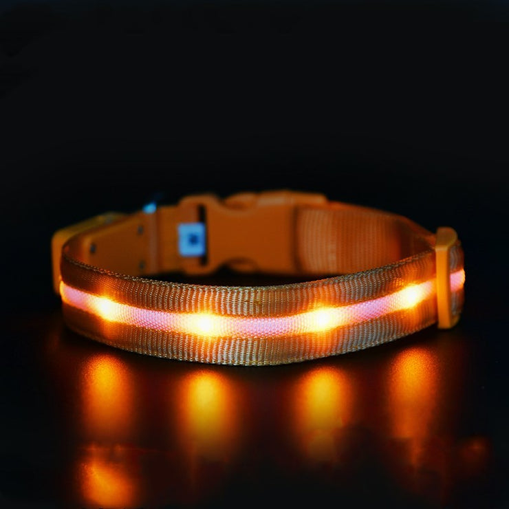 LED Pet Safety Collar - USB Rechargeable Light-Up | Fluffy Fussion