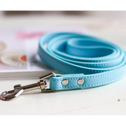 Leather Dog Collar and Leash Set - Fluffy Fussion