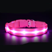 LED Pet Safety Collar - USB Rechargeable Light-Up | Fluffy Fussion