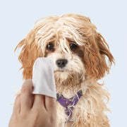 Tear Care Deodorizing Wipes