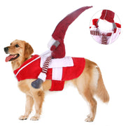 Dog wearing a red Santa outfit with a hat and scarf on a white background