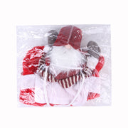 Red and white gnome figure in a clear plastic bag on a white background