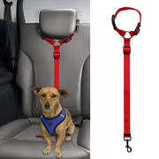 Car Safety Leash