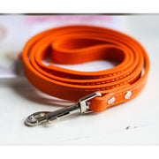 Leather Dog Collar and Leash Set - Fluffy Fussion