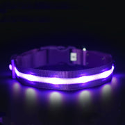 LED Pet Safety Collar - USB Rechargeable Light-Up | Fluffy Fussion