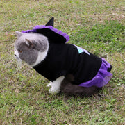 Halloween Wizard Pet Costume