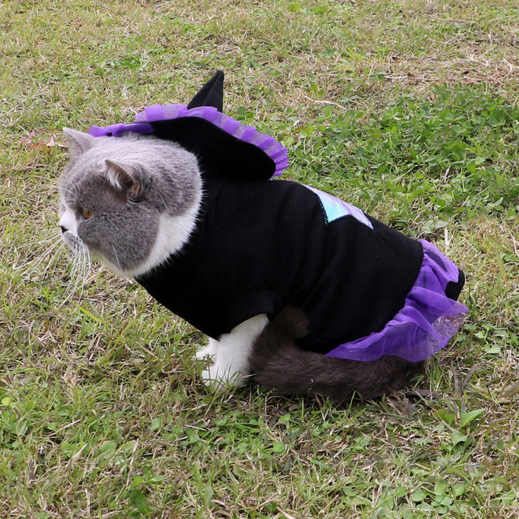 Halloween Wizard Pet Costume
