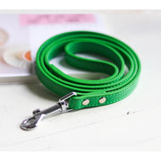 Leather Dog Collar and Leash Set - Fluffy Fussion