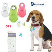 Pet Smart GPS Tracker