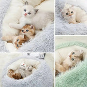 Collage of kittens on soft, fluffy blankets in various poses.