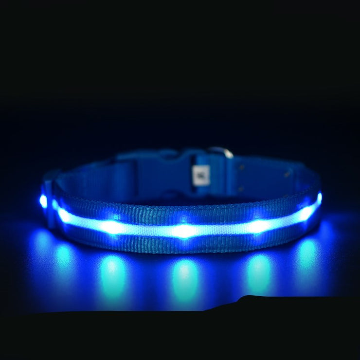 LED Pet Safety Collar - USB Rechargeable Light-Up | Fluffy Fussion