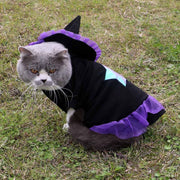 Halloween Wizard Pet Costume