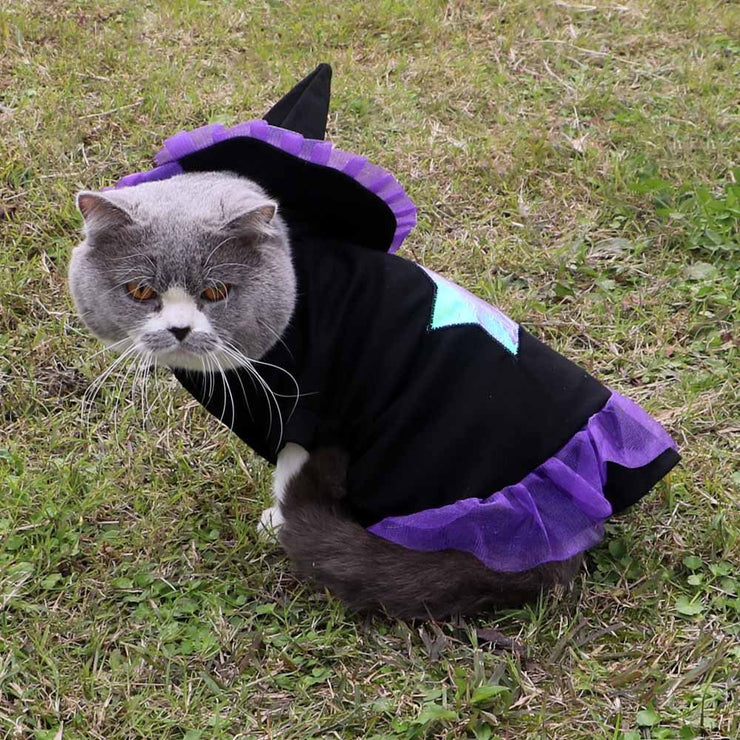 Halloween Wizard Pet Costume