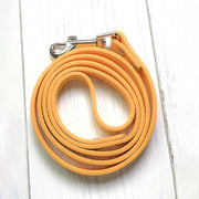 Leather Dog Collar and Leash Set - Fluffy Fussion
