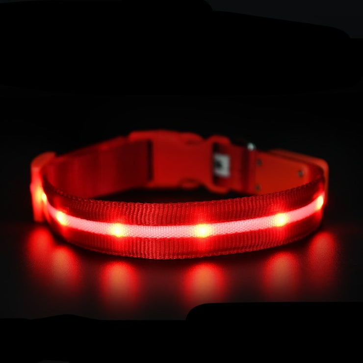 LED Pet Safety Collar - USB Rechargeable Light-Up | Fluffy Fussion