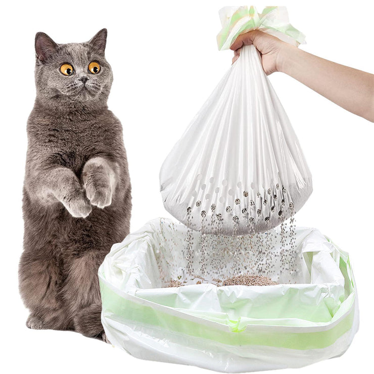 Cat reaching for a plastic bag filled with cat litter, with a hand holding the bag.