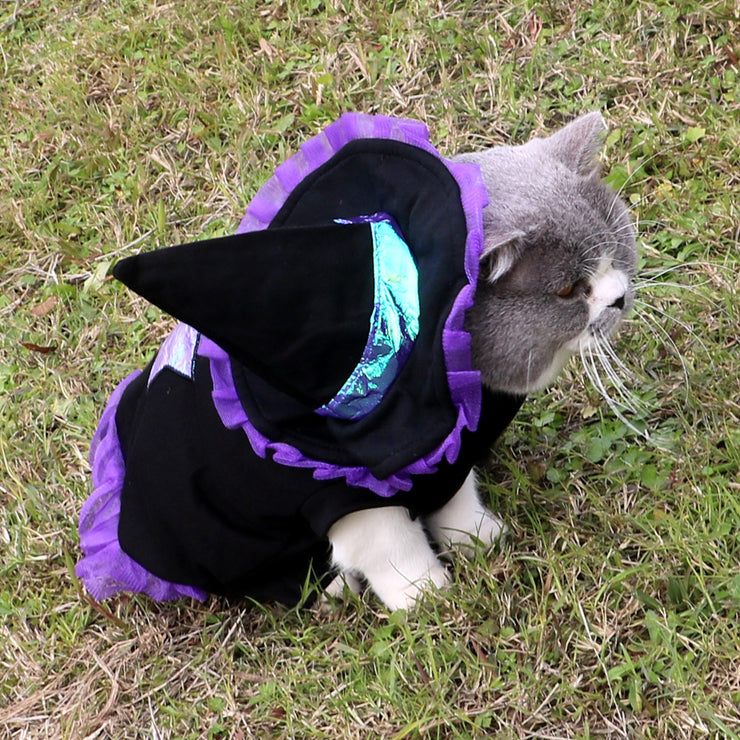 Halloween Wizard Pet Costume