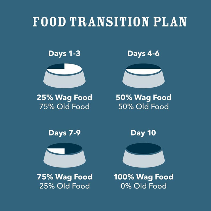 Amazon Brand- Wag Wholesome Grains Adult Pate Canned Dog Food, Beef & Vegetables Recipe, 13 oz (Pack of 12)