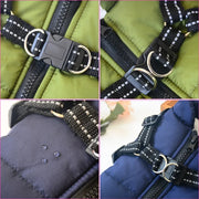Pet Harness