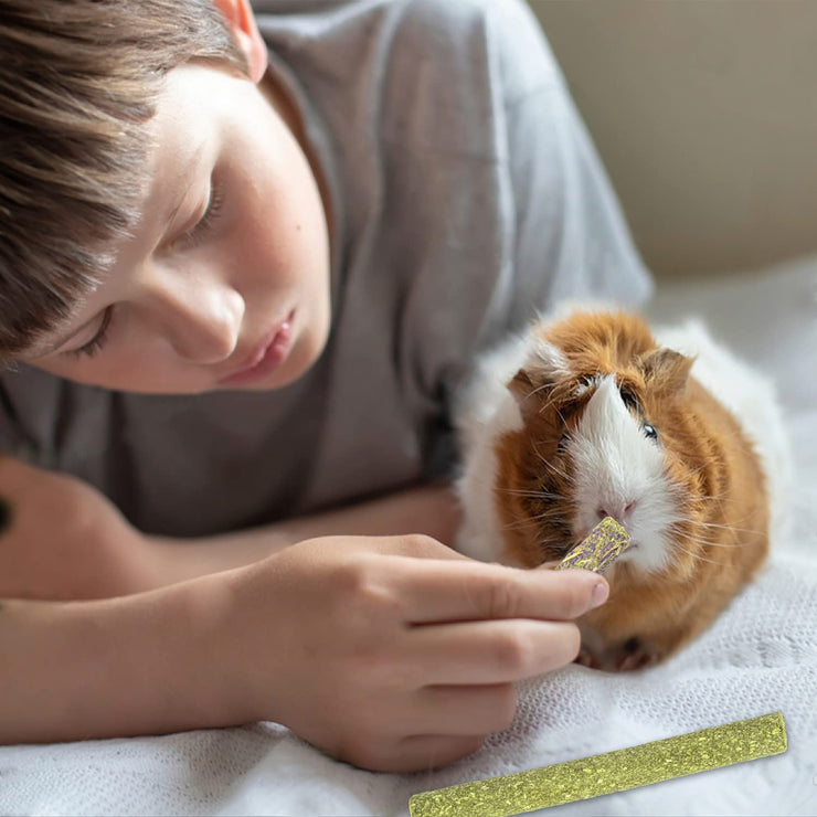 Timothy Hay Chew Treats for Small Pets