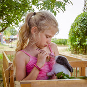 Timothy Hay Chew Treats for Small Pets