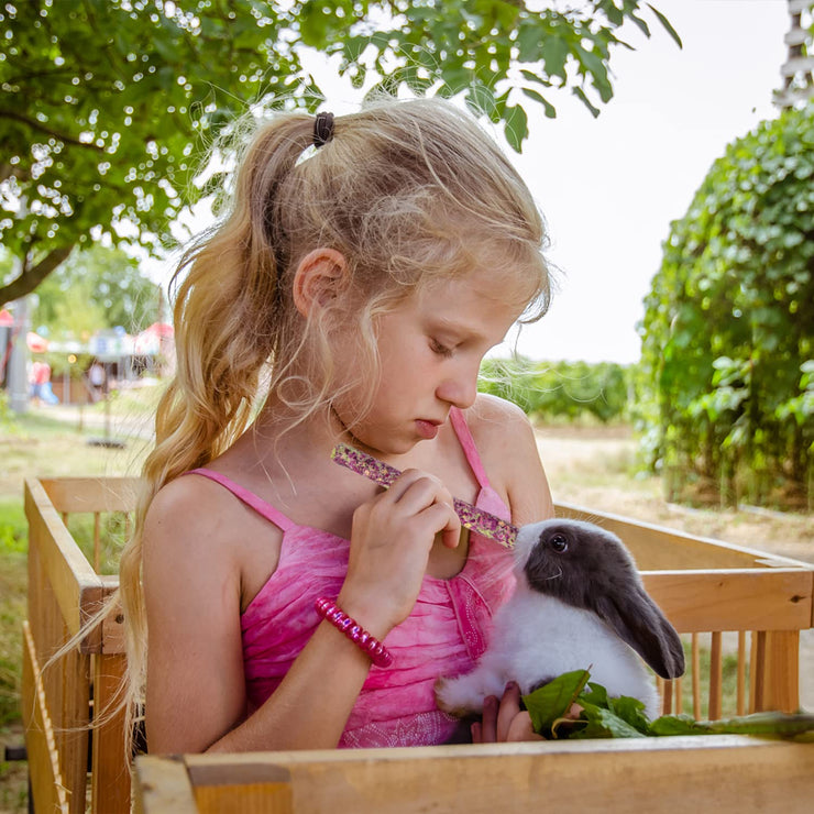 Timothy Hay Chew Treats for Small Pets