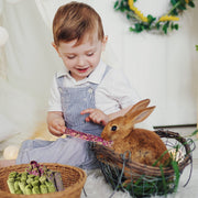 Timothy Hay Chew Treats for Small Pets