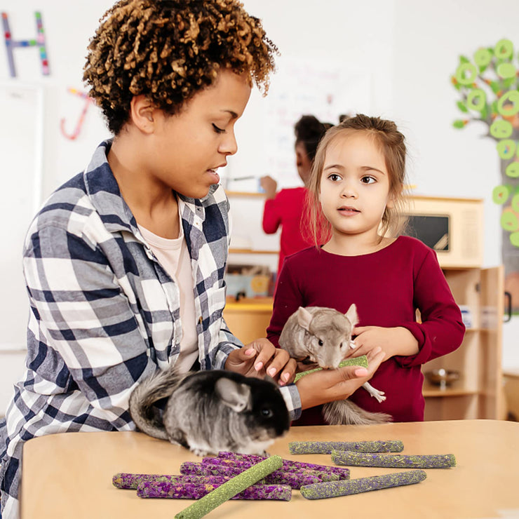 Timothy Hay Chew Treats for Small Pets