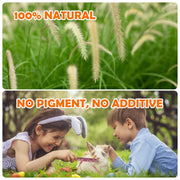 Timothy Hay Chew Treats for Small Pets