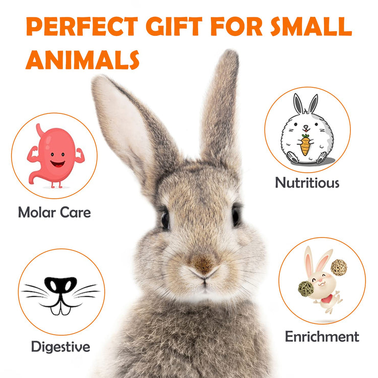 Timothy Hay Chew Treats for Small Pets