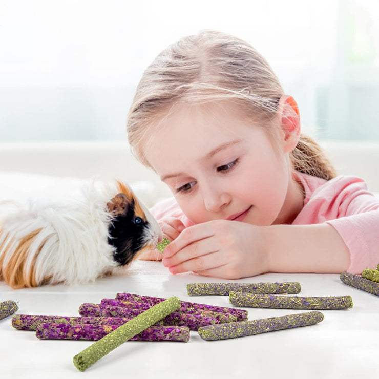 Timothy Hay Chew Treats for Small Pets