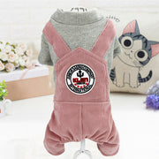 Four-Legged Dog Outfit