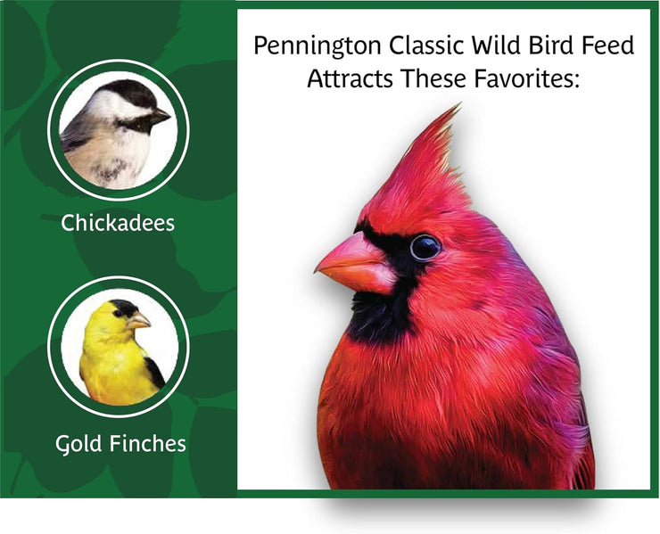 Pennington Wild Bird Feed (20lb)