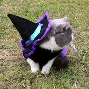 Halloween Wizard Pet Costume
