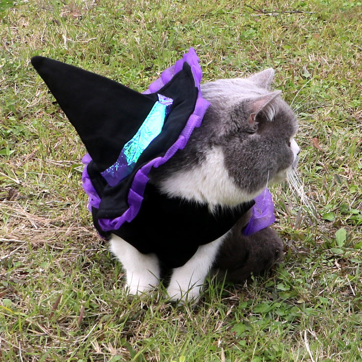 Halloween Wizard Pet Costume