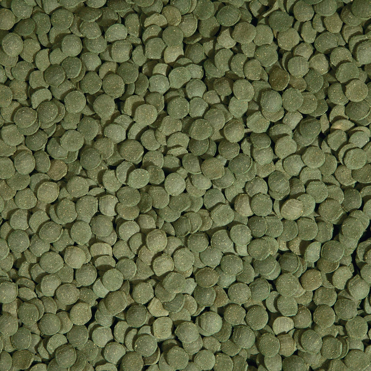 Tetra PRO PlecoWafers (5.29oz)