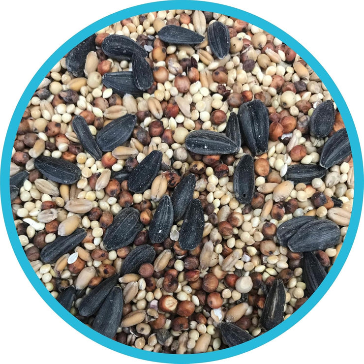 Pennington Wild Bird Feed (20lb)