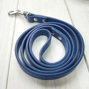 Leather Dog Collar and Leash Set - Fluffy Fussion