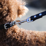 Leather Dog Collar and Leash Set - Fluffy Fussion
