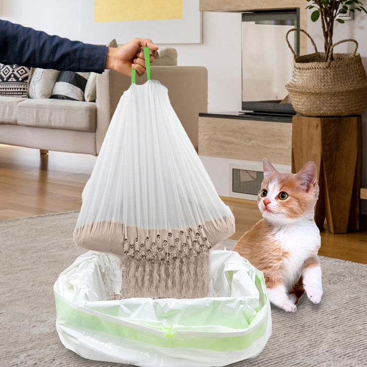 Person holding a white mesh bag over a cat tree with a cat sitting on a rug in a living room.