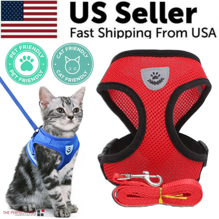 Red pet harness with blue harness on a cat, labeled 'US Seller' with fast shipping from USA.