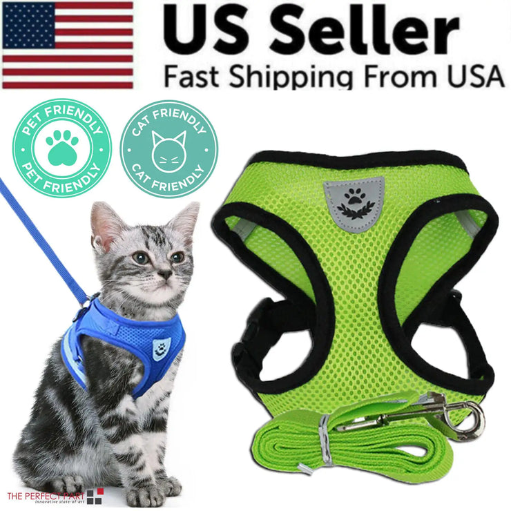 Cat wearing a blue harness with a green harness and leash on a white background, featuring 'US Seller' text and an American flag.