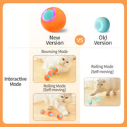 Smart Pet Toys