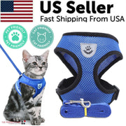 Blue pet harness with a cat wearing it, set against a white background with text and logos.