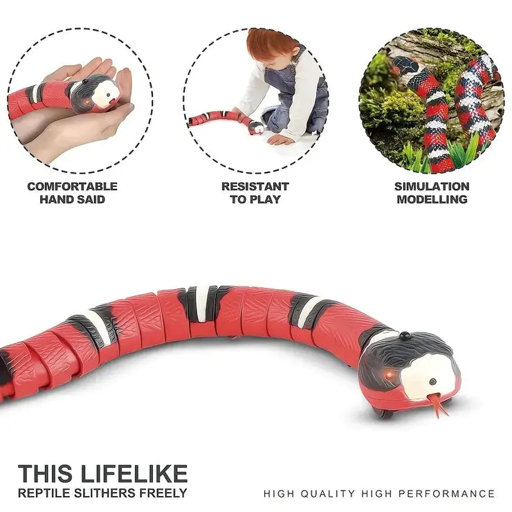 Red and black toy snake with features highlighted on a white background