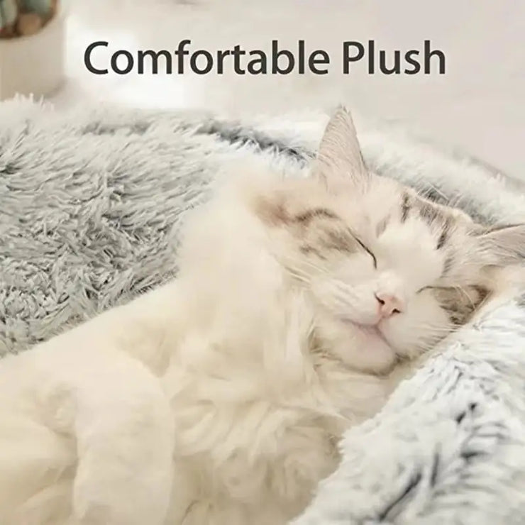 Cat sleeping on a fluffy white blanket with 'Comfortable Plush' text above.