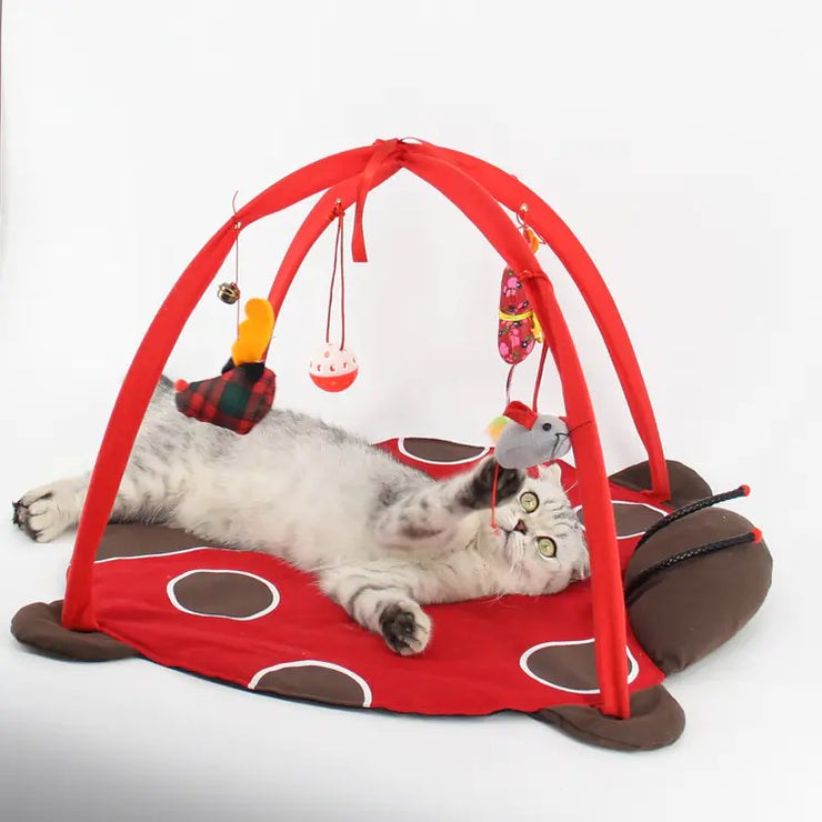 Cat Play Bed and Exercise Game Tent for Interactive Fun