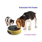Automatic Feeder, Timed Feeder, Heavy-Duty Feeder