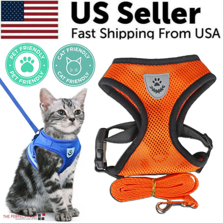 Cat wearing a blue harness with an orange harness and leash on a white background, featuring 'US Seller' text and pet-friendly icons.